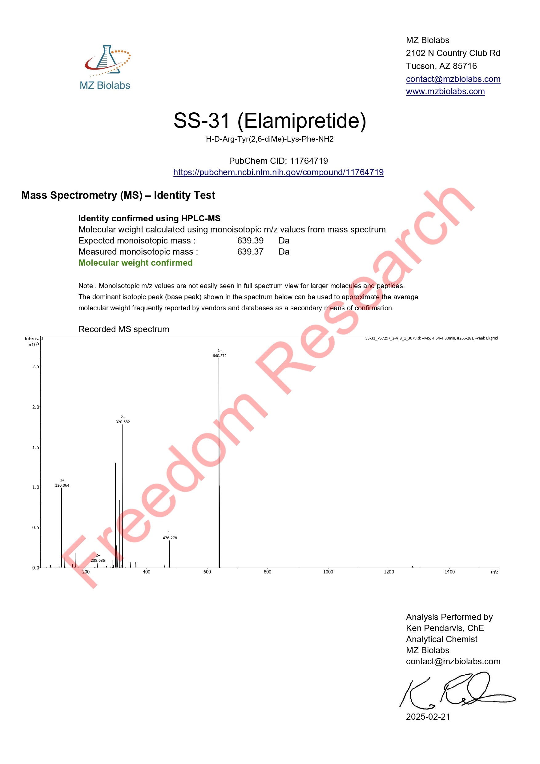 SS-31 Image 2