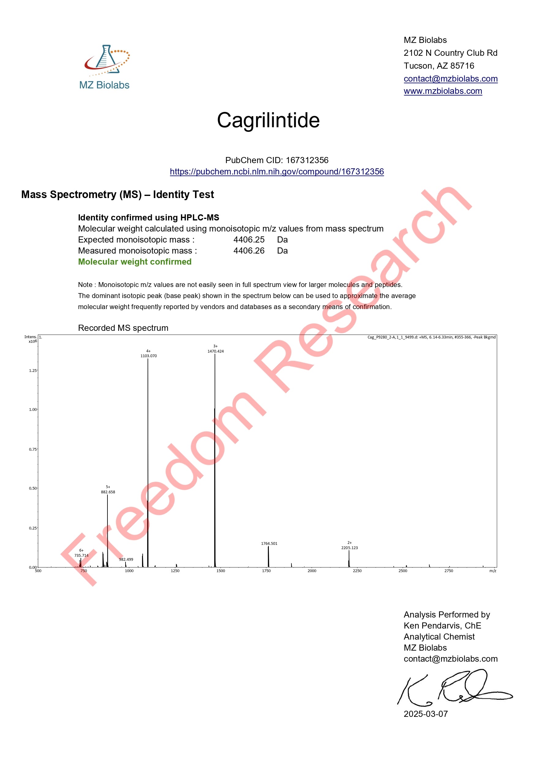 Cagrilintide Image 2